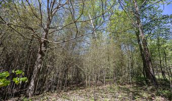 2 Shain Dr, Bardstown, KY 40004