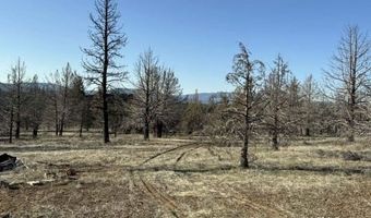 31763 Godowa Springs Rd, Beatty, OR 97621