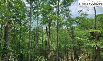 Tbd Teaster Valley Lane, Banner Elk, NC 28604