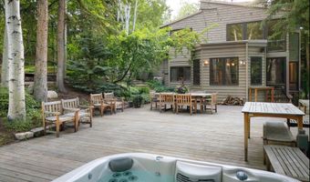 205 LARKSPUR Ln, Aspen, CO 81611