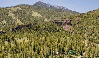 8 Mormon Creek Rd, Cody, WY 82414