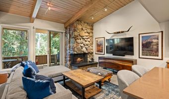 700 Ute Ave 213, Aspen, CO 81611