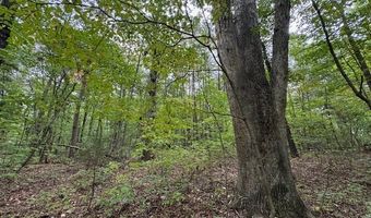 Watt Abbitt Rd, Appomattox, VA 24522