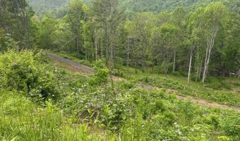 Pumpkin Patch Road, Bakersville, NC 28705