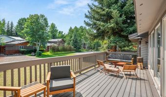 1275 Snowbunny Ln 2, Aspen, CO 81611