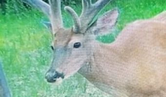 18999 River Rd, Athens, OH 45701