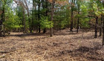 Dover Drive lot 2 +/-43 Ac, Adams, WI 53910