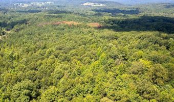 62 Beautiful Ac Toney Dr, Altoona, AL 35952