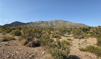 RUDIN Drive, Cold Creek, NV 89124