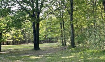 8923 Torch Lake Dr SE, Alden, MI 49612
