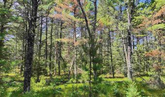 5 6 Acres 16th Ave Lot 3, Arkdale, WI 54613