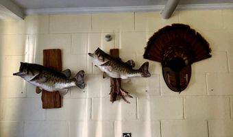 1235- A Long Branch Rd, Beattyville, KY 41311