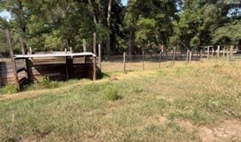 4760 NW 55th Ave, Bell, FL 32619