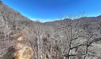 99999 Green Ridge Falls Rd 17, Barnardsville, NC 28709