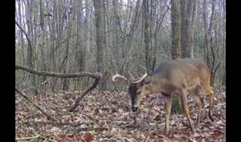 21 6 Holly Ave, Attalla, AL 35954