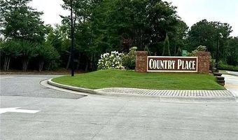 59 Country Place Ct, Alpharetta, GA 30005