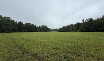 100 Acres Highway 34 W, Beech Grove, AR 72412
