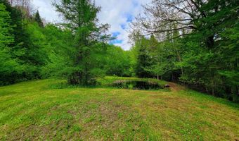 5897 VT-102, Bloomfield, VT 05905