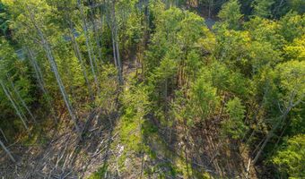 Lisbon Road lot M 13 L 69 & 71, Bath, NH 03740