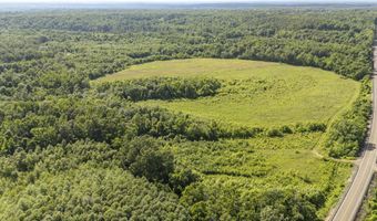 22 Hwy, Adamsville, TN 38310