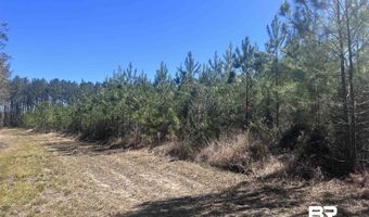 9 Robinsonville Rd, Atmore, AL 36502