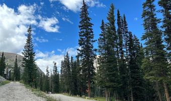 355 QUANDARY VIEW Dr, Breckenridge, CO 80424