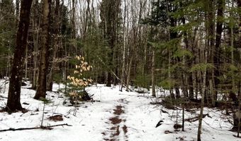 Baird Road, Barton, VT 05822