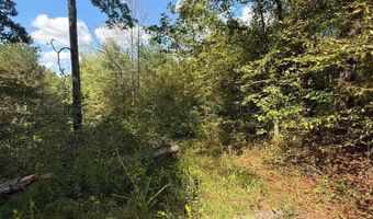 COUNTY RD 3730, Addison, AL 35540