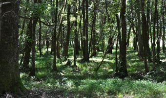 0 County Rd 22, Auburn, AL 36830