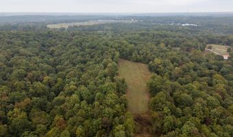 2421 Morrison Loop, Anderson, MO 64831