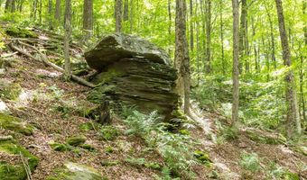 Timberland Drive, Andes, NY 13731