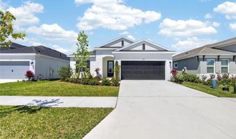 6196 HIDDEN BRANCH Dr, Apollo Beach, FL 33572