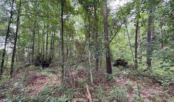 32451 Chapel Pine Drive Lot Cdt2, Albany, LA 70711