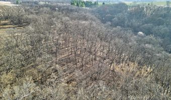 271 18 Acres Zwettler/Foster Rd, Arena, WI 53503