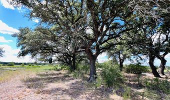 TBD County Road 647, Pottsville, TX 76565