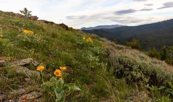 Trail Creek Road Lot 3, Bozeman, MT 59715