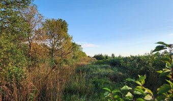 2051 120th St, Balaton, MN 56115