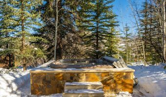 386 Pfister Dr, Aspen, CO 81611