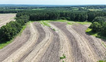 216 County Road 201, Ariton, AL 36010