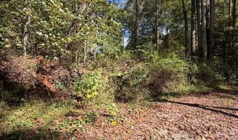 Orchard Hill RD, Beaver, WV 25813