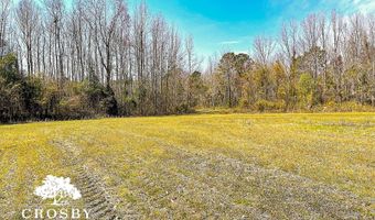 0 Plowden Mill Rd, Alcolu, SC 29001