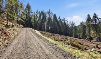 NW Green Mountain Rd 1, Banks, OR 97106