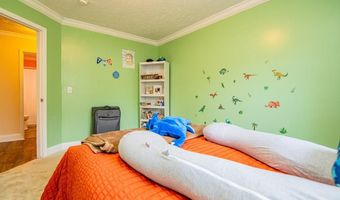 86 Arbor Dr, Roanoke Rapids, NC 27870