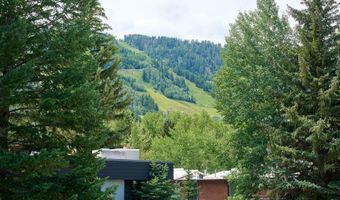 1024 E Cooper Ave 3A, Aspen, CO 81611