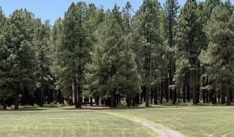 58 County Road N2122, Alpine, AZ 85920