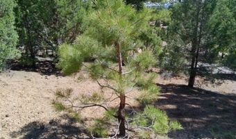 2805 N Dead Horse Lp, Alton, UT 84710