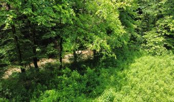 00 Tbd Long Shoal Br, Beattyville, KY 41311