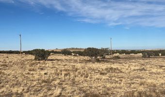 CR5139, Concho, AZ 85924