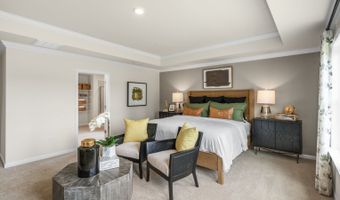 5298 Jessie Dr Plan: MORGAN, Apex, NC 27539