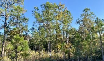 Nezperce Drive lot 128, Alford, FL 32420